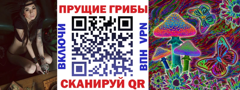 Псилоцибиновые грибы мухоморы  ссылка на мегу как зайти  Шенкурск 
